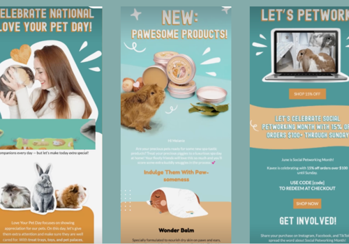 Email Marketing Package Example: Case Study: Pet Food & Care