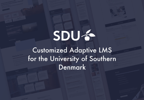 Custom Software Development Package Example: Customized Adaptive LMS for the SDU