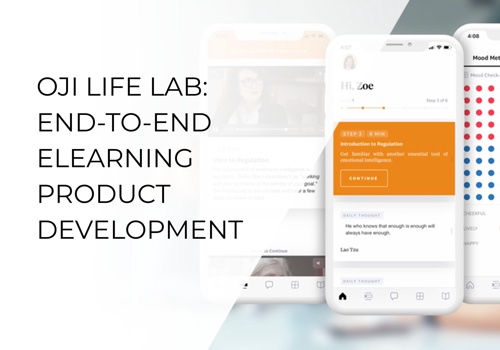 Custom Software Development Package Example: END-TO-END ELEARNING PRODUCT DEVELOPMENT