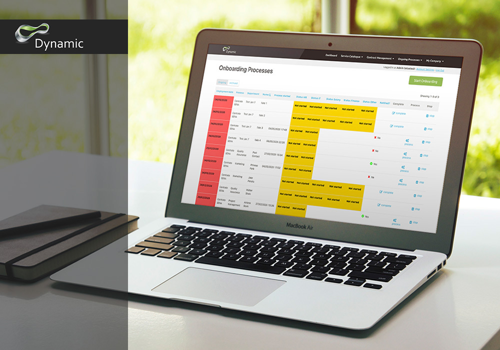 Custom Software Development Package Example: Dynamic