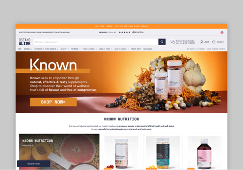 Marketing Strategy Package Example: Oceans Alive