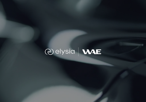 Branding Package Example: Elysia | Naming & Brand Strategy