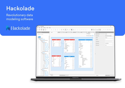 Custom Software Development Package Example: Revolutionary data modeling software