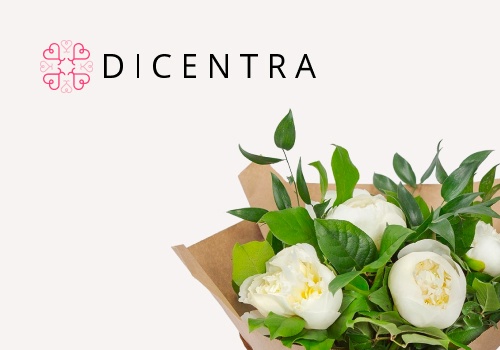 Web Design Package Example: Floral atelier Dicentra