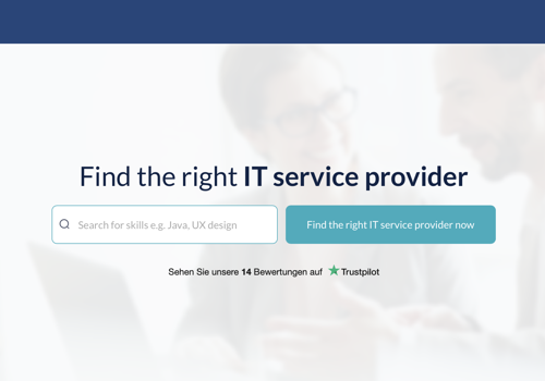 Web Development Package Example: IT service provider marketplace