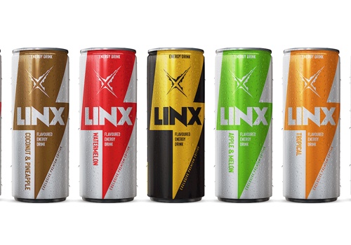 Branding Package Example: Linx