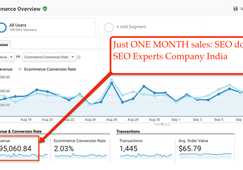 Pay Per Click Package Example: SEO for E-Commerce Store