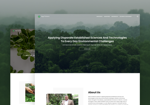Web Design Package Example: The Argo Sciences company