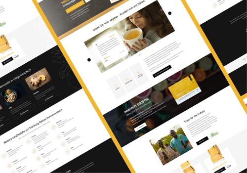 Web Development Package Example: Vit2Go / Website Redesign / E-commerce / WordPress