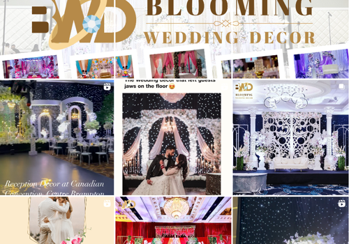 Branding Package Example: BWD - Wedding Decor Agency