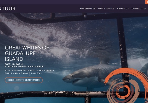 Branding Package Example: Avontuur -  Luxury Travel Without Limits