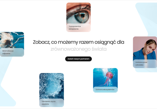 Web Design Package Example: Legally Designed