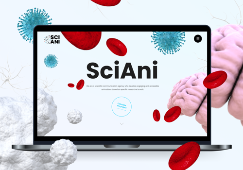 Web Design Package Example: Science Animation Agency
