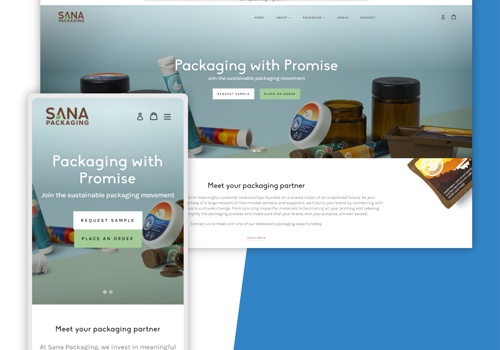 E-Commerce Development Package Example: Ecommerce Development + SEO