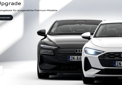 Custom Software Development Package Example: Audi - inventory management software