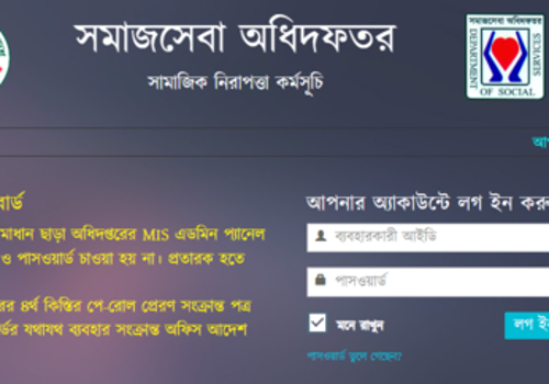 Web Design Package Example: Enhancement of MIS of DSS