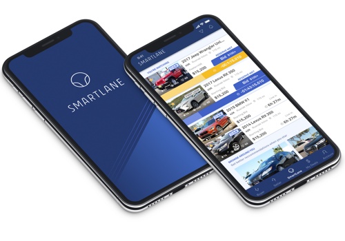 Custom Software Development Package Example: Mobile app for Automotive auctions