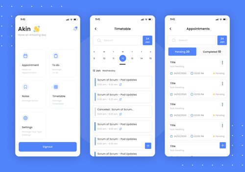 Mobile App Development Package Example: Plana