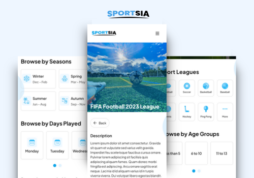 Web Design Package Example: Sports Sia