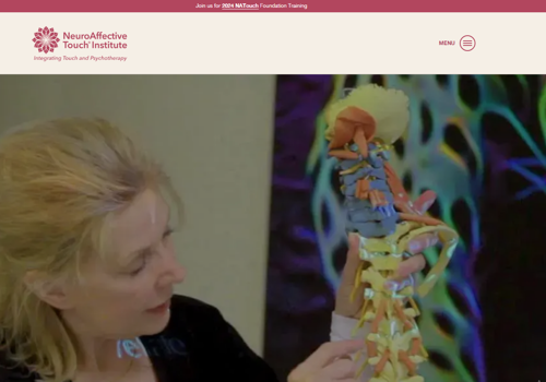 Web Design Package Example: NeuroAffective Touch