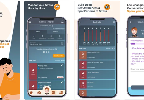 Custom Software Development Package Example: AI/ML Chatbot