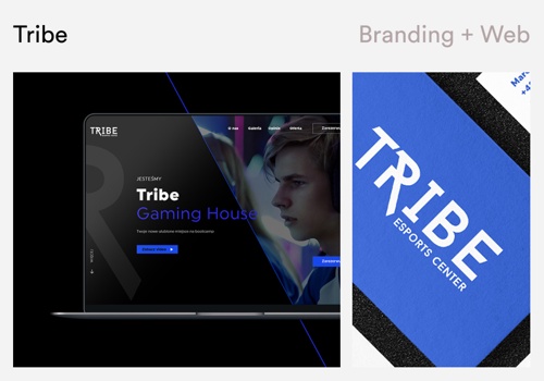 Web Design Package Example: TRIBE