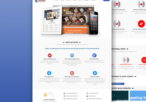 E-Commerce Development Package Example: Buzz Applications