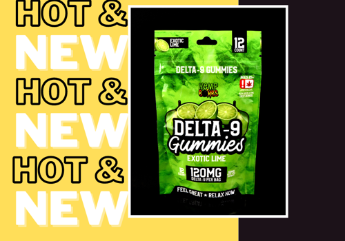 Branding Package Example: Unveiling Creativity: Portfolio Visual Showcase