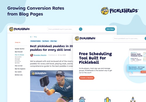 Web Design Package Example: High-CTR Blog Experience for Pickleball Company