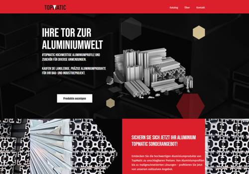 Search Engine Optimization Package Example: TopMatic e.U Website and SEO