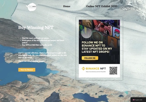 Web Design Package Example: Vikstore NFT Introductory Website
