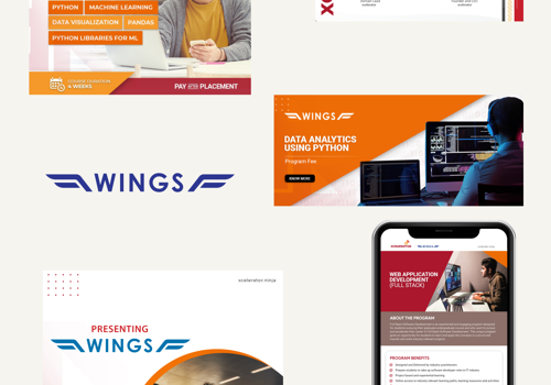 Branding Package Example: Design support for their campaign