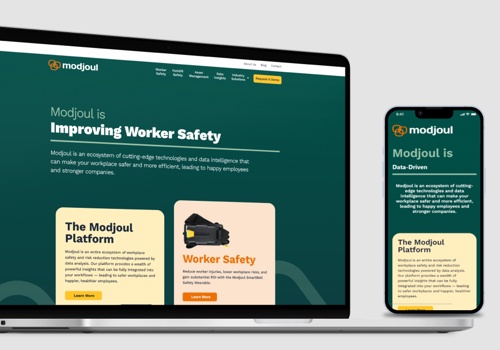 UX/UI Design Package Example: Modjoul Dashboard Design
