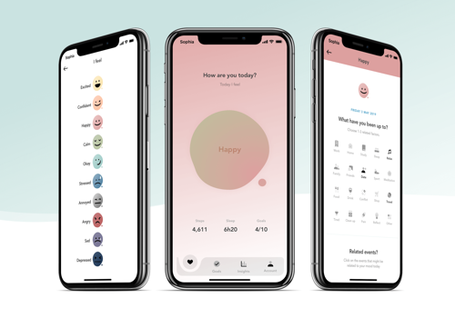 Custom Software Development Package Example: Custom Software & Web Development for AI App