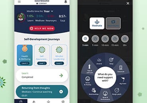 Mobile App Development Package Example: Awakened Mind