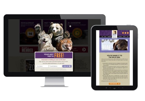 Email Marketing Package Example: Small Town Zoo Makes A Wild Impact