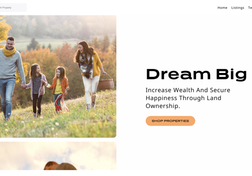 Web Design Package Example: LaVie