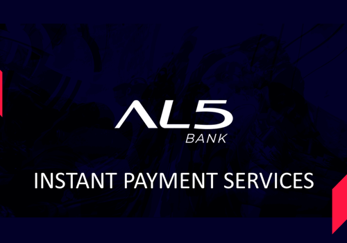 Custom Software Development Package Example: Instant Payment Services