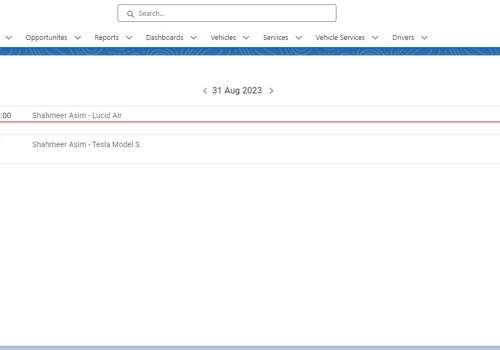 CRM Consulting and SI Package Example: Custom Calender for Reservations