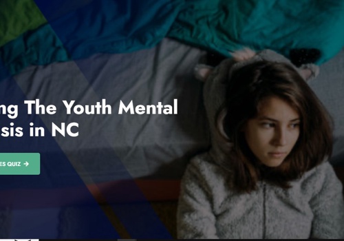 Search Engine Optimization Package Example: Youth Mental Health