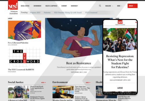 Web Development Package Example: Website Care for solutions journalism publisher