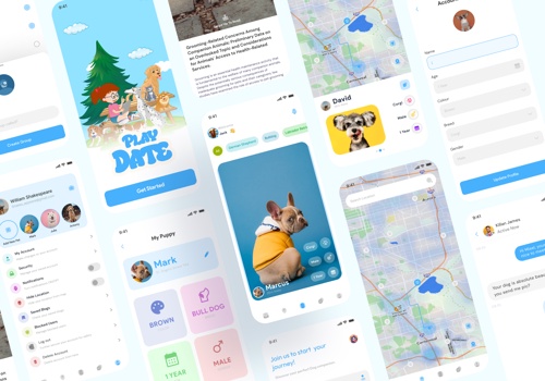 UX/UI Design Package Example: Play Date Dogs