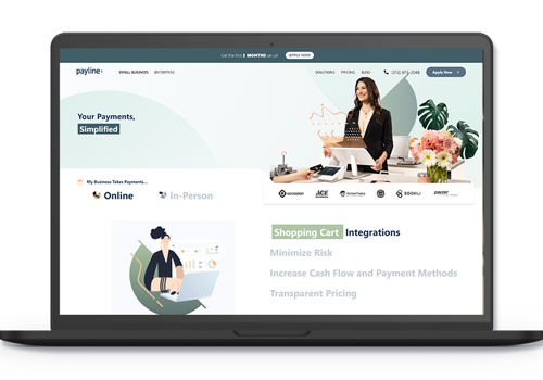Web Development Package Example: Payline Data