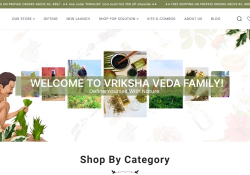 Web Design Package Example: Shopify Website Development