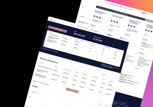 Web Development Package Example: End-to-end platform managing your treasury