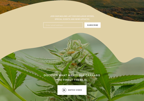 E-Commerce Development Package Example: Custom Shopify store for Cosmetic Brand