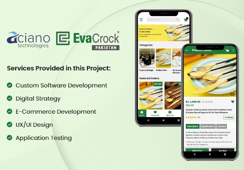 Custom Software Development Package Example: ECommerce Solution & Mobile Application