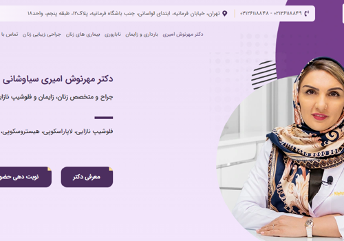 Branding Package Example: Dr. Mehrnush Amiri Personal Branding