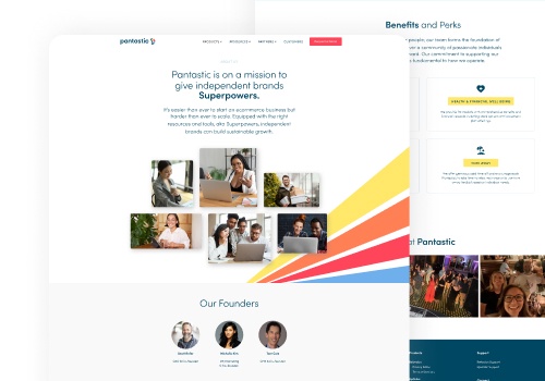 Graphic Design Package Example: Pantastic Ongoing Design Support