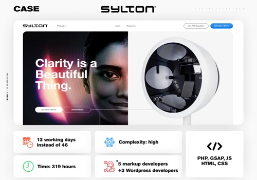 Web Development Package Example: Markup and Wordpress for project Sylton